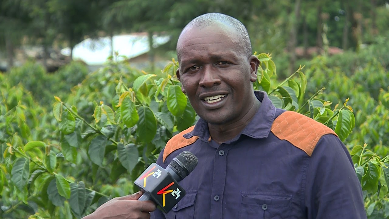 FARM DIVERSIFICATION IN UASINGISHU