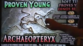 Dinosaurs Proven Young (Not For Kids)