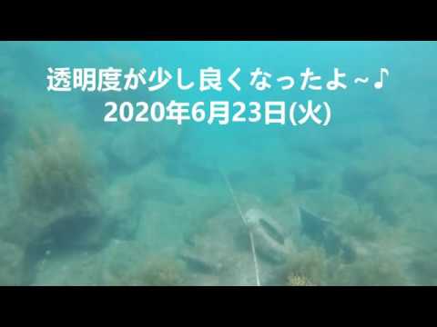 【6月23日】透明度が少し良くなったよ~♪