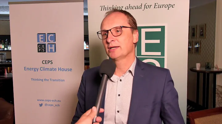 Interview: Carl De Mar (ArcelorMittal Group) at the CEPS Low Carbon Economy Forum 2018