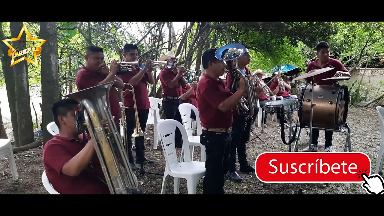 Banda de Viento Estrella El Siete mares, Rogaciano El Huapanguero, El Texanito, La Ofrenda.