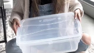 IRIS USA 13 Qt Stackable Plastic Storage Bins with Lids Review