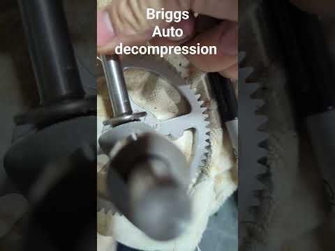 How a Briggs