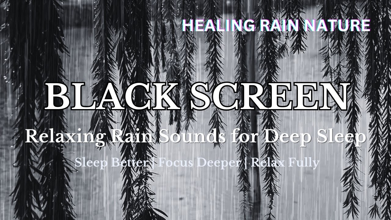 Rain Beside Willow Trees | Black Screen Rain for Deep Sleep - YouTube