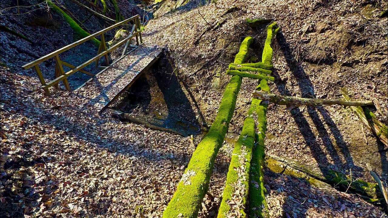 Prírodná pamiatka PP Kobylince￼ -7.03.26