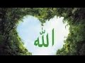 Quran Tilawat Calm Voice - Abdullah Humaid