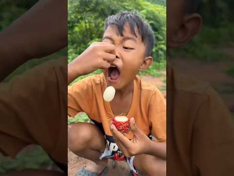 Survival Skills: SMART