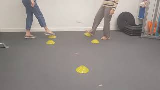 Falls/Balance Prevention Group