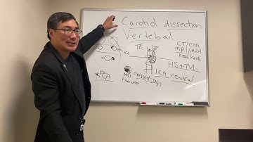 Arterial dissections in Neuro Ophthalmology