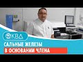 👉 Сальные железы в основании члена. Клинический случай №775