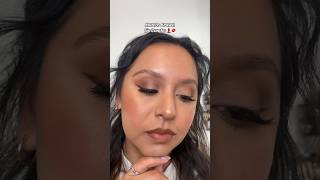 Mauve Brown Lip Liner Combo