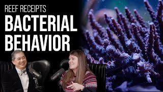 Coral Mucus Makes Bacteria Go Insane! | Reef Receipts