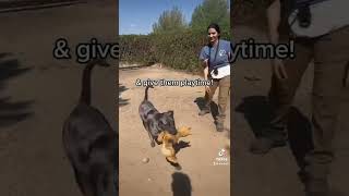 A Day in the Life of a Volunteer