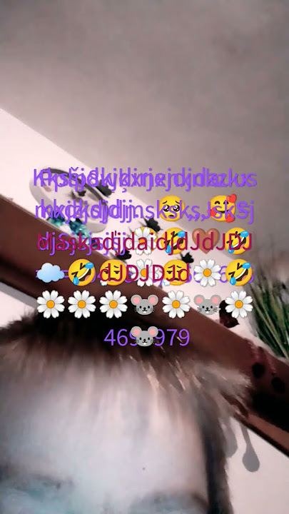 kskma