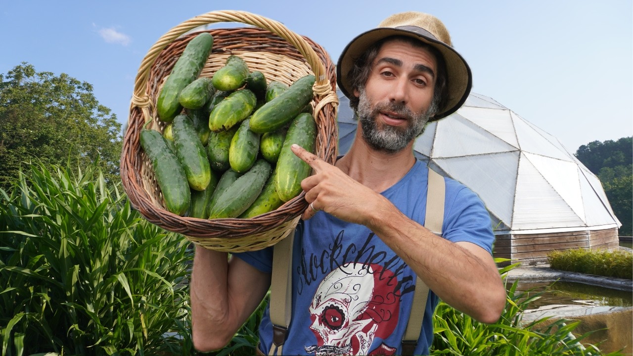 SIMPLE et EFFICACE : Le CONCOMBRE 🥒