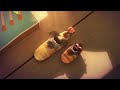 Hide Seek Larva Season 2 Episode 39 1080p Hide Seek Larva Season 2 Episode 39 1080p