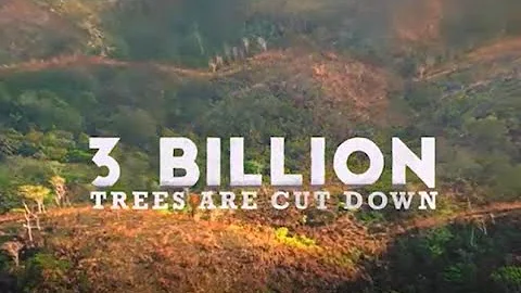 Paper of the recycled leaves / RE-Leaf PAPER