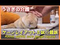介護ゲージのレイアウト 【うさぎの介護】#070