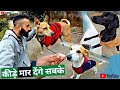 Saare keede maar diye jayengey aaj   dog vlogs in hindi   bearded ladka vlogs  