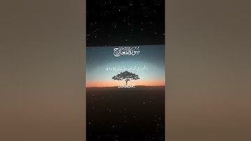 سورة المعارج|22-25|القارئ:#محمد_اللحيدان #قران #quran #قران_كريم #تلاوة #تلاوة_هادئة#آية#تلاوة_خاشعة