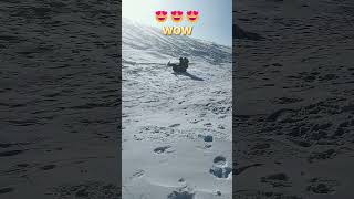 💥这个才是真正的滑雪 看着过瘾！This Is Real Skiing #Animal 【跟着图尔去旅行】