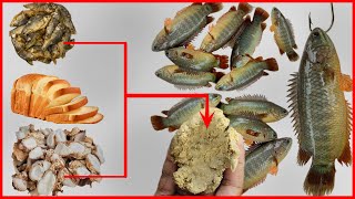 Magic Bait for Koi Fishing | Secret Rules for Making Koi Fishing Bait screenshot 5