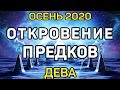 ДЕВА. ОСЕНЬ 2020. ОТКРОВЕНИЕ ПРЕДКОВ. ЧТО ВАМ НУЖНО ЗНАТЬ ПРЯМО СЕЙЧАС. ПРОГНОЗ ТАРО ОНЛАЙН.