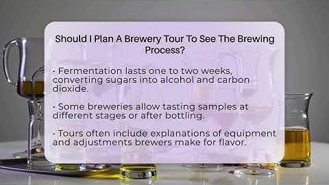 Should I Plan A Brewery Tour To See The Brewing Process? - The Pint Guy
