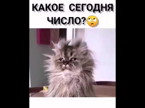 Какое сегодня число🙄 😂 - YouTube