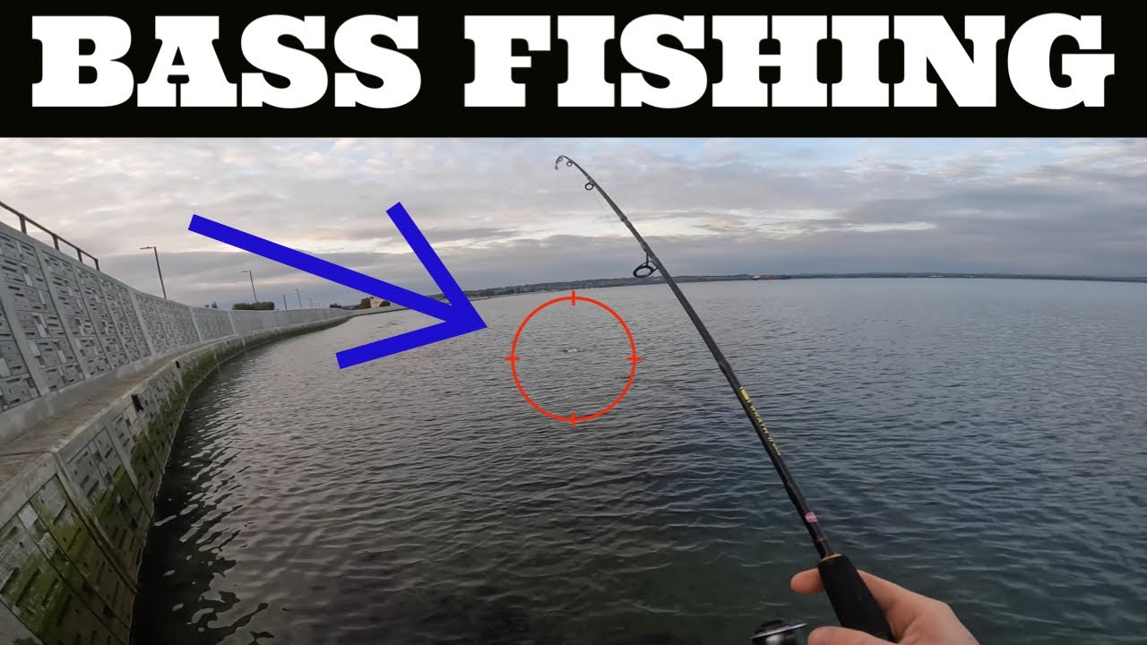 BASS Fishing Langstone & Portsmouth Harbour