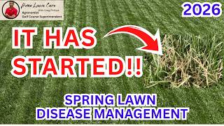 Your Lawn Fungicide Probably Isn't Working—Here's Why