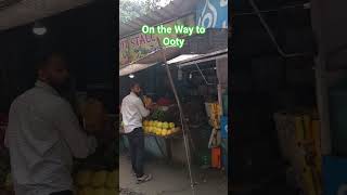 Travel To Ooty | #ooty #travel #shortvideo #shortfeed #short