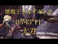 ［MHW] 歴戦王ネルギガンテ 太刀 05'43''11