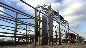 DeLaval DSG3 Sortgate