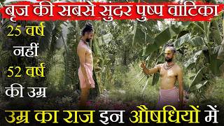 "बृज की सबसे सुंदर पुष्प वाटिका " 25 वर्ष नहीं 52 वर्ष की उम्र ||संत की उम्र का राज इन औषधियों में||