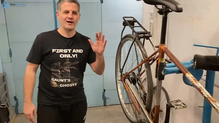 Shimano Nexus hub with an Alfine shifter