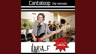 Cantaloop (Flip Fantasia)