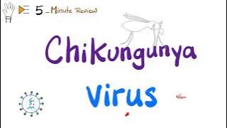 Chikungunya Virus (Mosquito-borne illness) | Virology