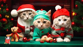 Christmas Piano  Calming Music for Anxious Cats: Soothing Sounds for Deep Relaxation and Sleep