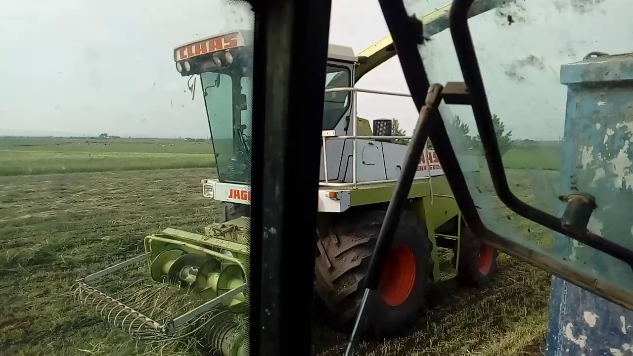 Siliranje ječma 2019 mošorin