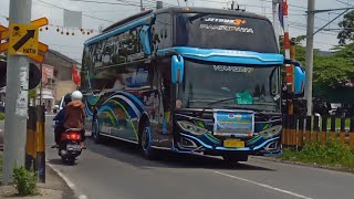 Kompilasi Bus Pariwisata Keren diperlintasan Kereta api