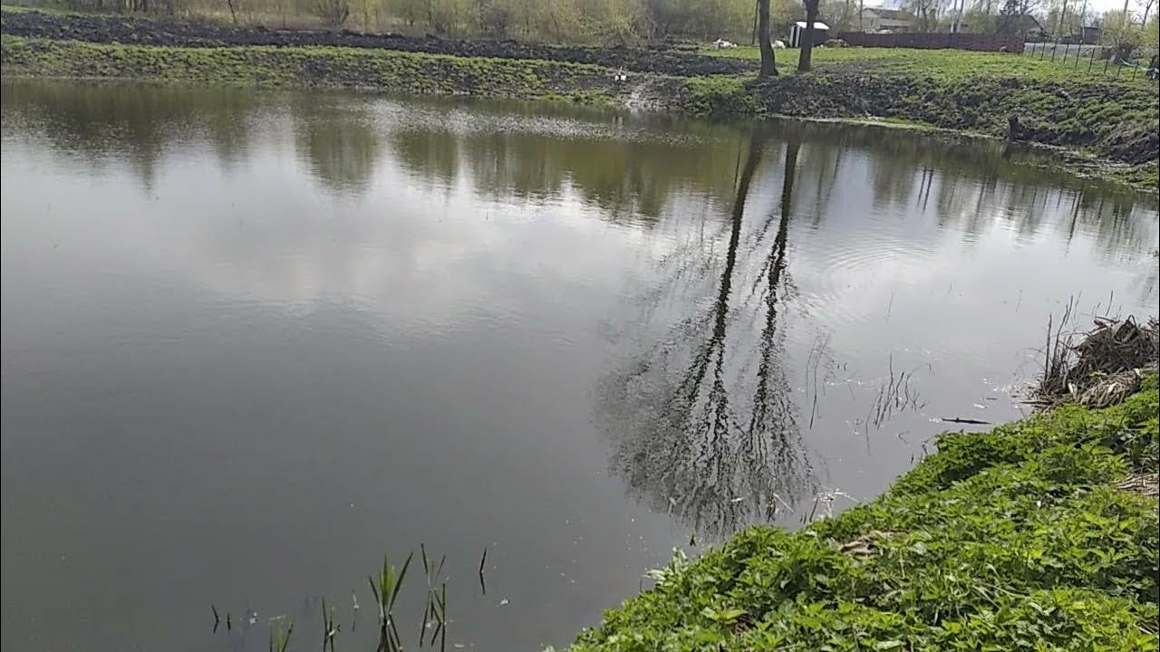 Озеро копанка краснодар фото