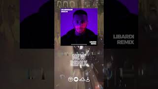 lanamento Orochi Libardi   Celebridade remix shorts
