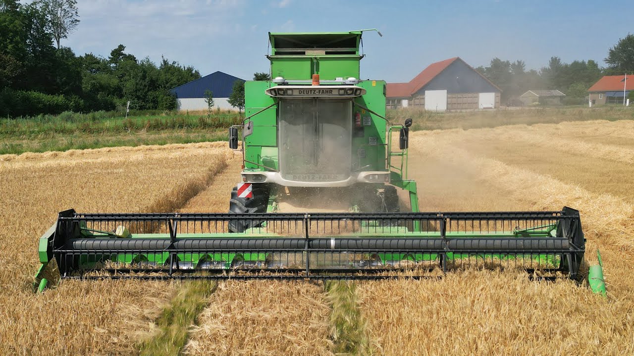 Threshing Barley | Deutz-Fahr TopLiner | 2025