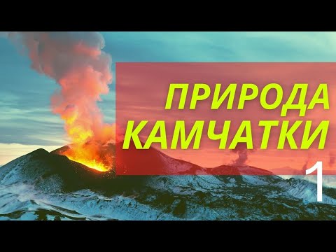 Video: Kamčatka: príroda regiónu, flóra a fauna, zaujímavosti