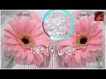 sahaba par khubsurat kalam _ new Kalam _Malika e Islam #shorts #short #viral #dua #allah