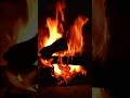 Texte de Noël | Matthieu 2.1-12| La Bible