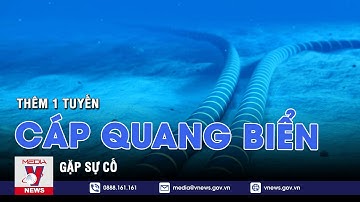 Thêm 1 tuyến cáp quang biển gặp sự cố - VNEWS