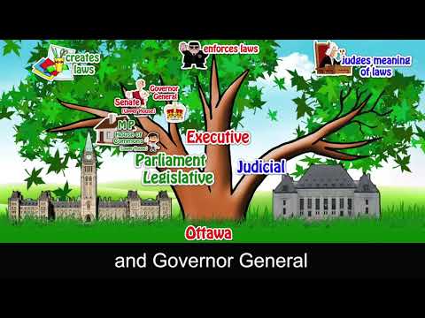 Vidéo: D'où viennent les trois branches du gouvernement ?