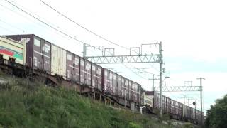 75ﾚ  EF65  2095  2012年8月5日